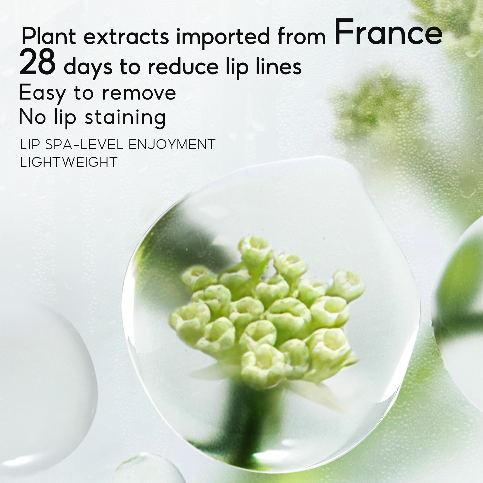 (Gift Only, Do Not Buy) CARSLAN Hydrating Lip Gloss Serum, Moisturizing, Plunping, Shiny Lip Glow, Tinted Lip Care with Vitamin E, Crithmum Maritimum Essential oil (Sample G102)