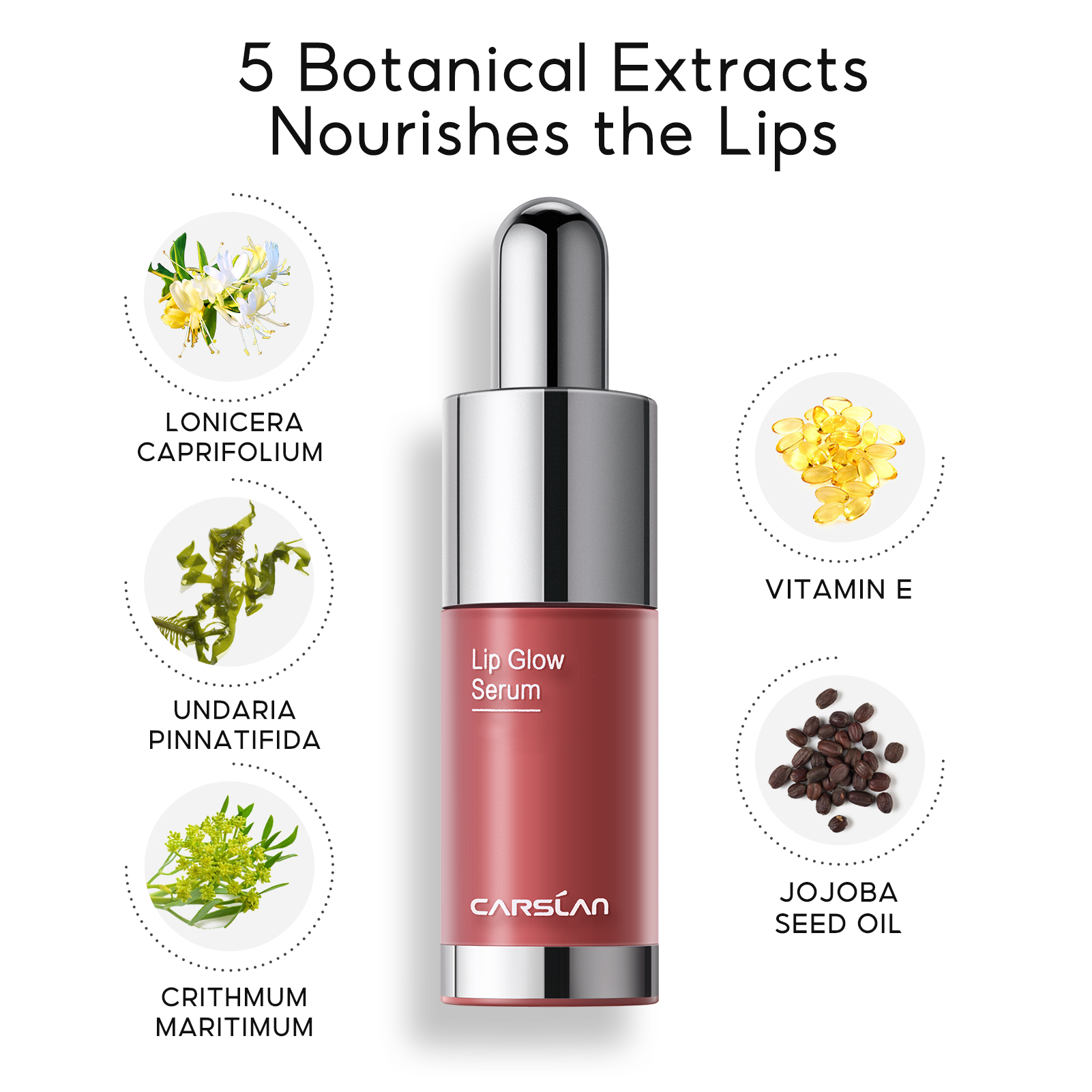 (Gift Only, Do Not Buy) CARSLAN Hydrating Lip Gloss Serum, Moisturizing, Plunping, Shiny Lip Glow, Tinted Lip Care with Vitamin E, Crithmum Maritimum Essential oil (Sample G102)